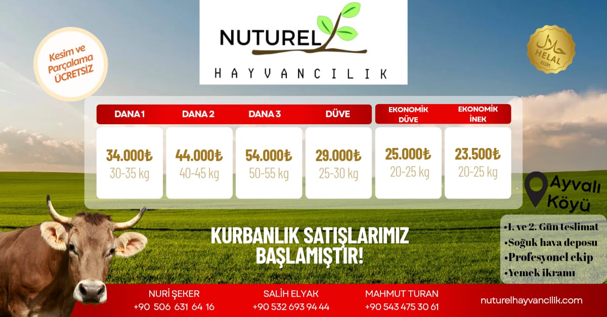 Hisse Fiyatları
